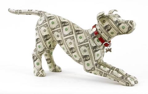 Who Wants to Make an Extra $180,000 a Year As a Bird-Dog?